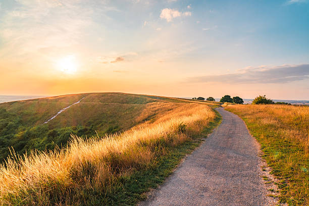 An open meadow at dawn with warm golden light across the grass and a wide sky above